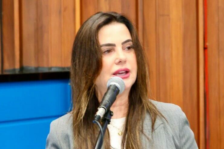 Imagem de compartilhamento para o artigo Deputada Mara Caseiro solicita construção de ponte de concreto na MS-229, em Chapadão do Sul da MS Todo dia
